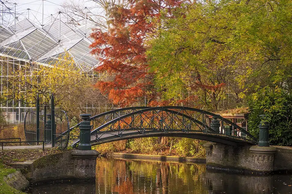 Hortus Botanicus Amsterdam